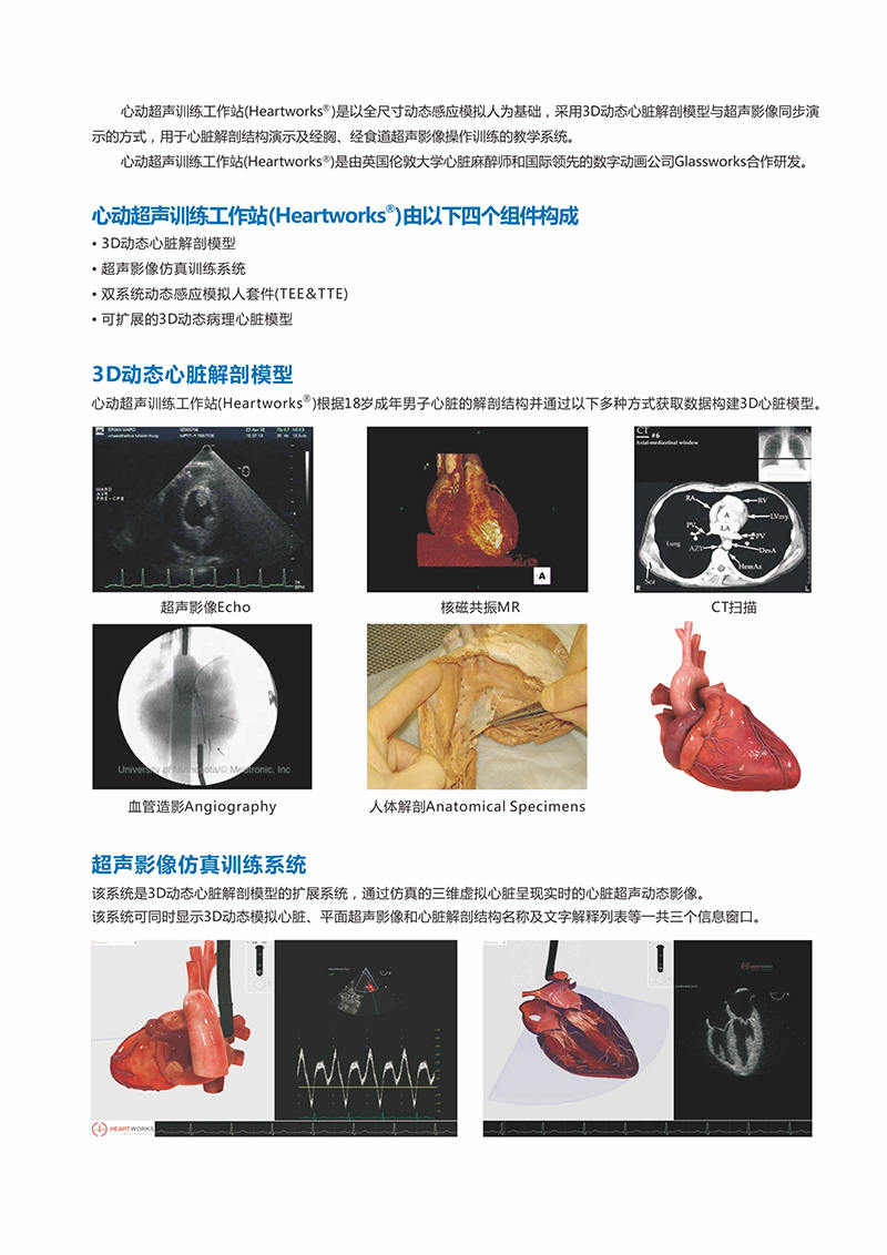 HEARTWORKS-TEE/TTE心动超声检查模拟器_湖北医学模型_医院模拟教学设备 