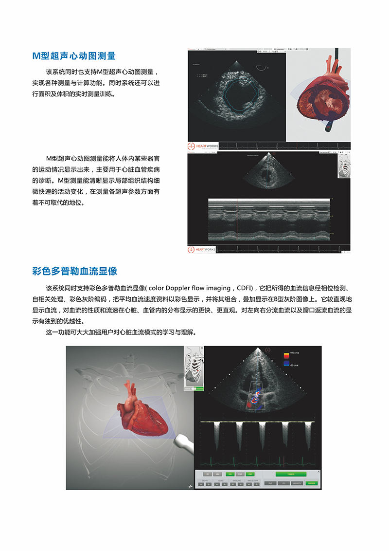 HEARTWORKS-TEE/TTE心动超声检查模拟器_湖北医学模型_医院模拟教学设备 
